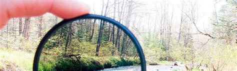 Image result for Java Life Code