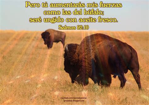 Junto al Camino: DIOS, GRACIAS POR DARME FUERZAS