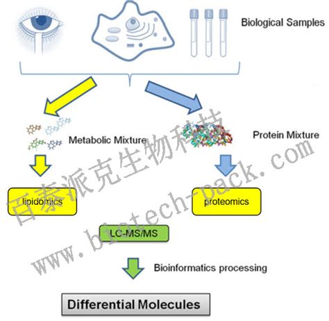 科研服务/蛋白质组学/标记定量蛋白质组学