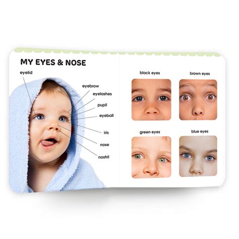 My First Book of Human Body | Early Learning Board Book for kids Ages