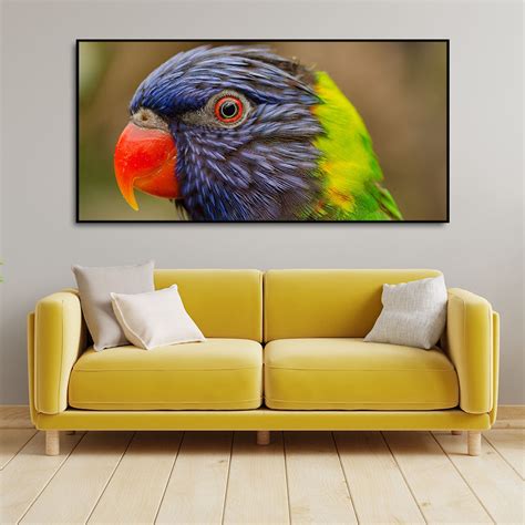 Colorful Parrot Premium Wall Painting – Homcraft