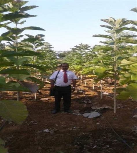 kisanuttaran bioplants pvt ltd - Products