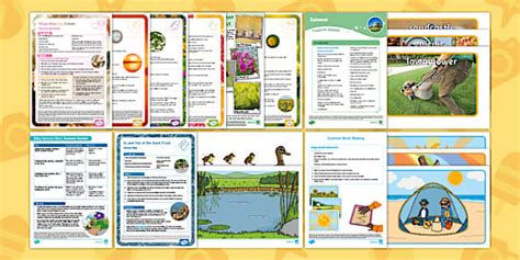 Summer Sensory Activities Pack | Twinkl