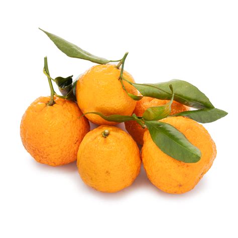 Golden Nugget Mandarin Orange