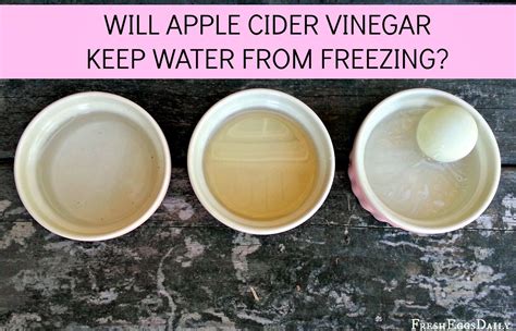 Can You Freeze Vinegar - lema
