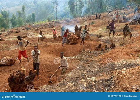 Preparing the Land for Agriculture, Uganda Editorial Stock Image - Image of agriculture, working ...