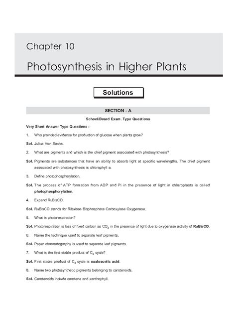 Photosynthesis In Higher Plants Set 1uccessors as storehouses of their ...