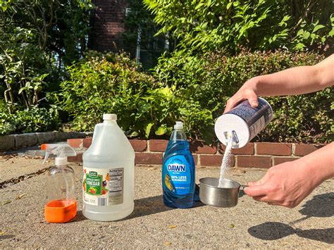 How to Make Weed Killer at Home That Works - Homemade Weed Killer