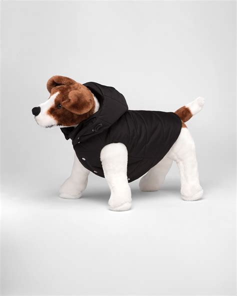 Black Re-nylon Puffer Dog Coat With Hood | PRADA