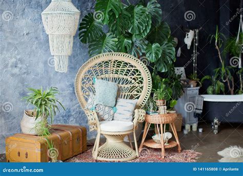 Rattan Peacock Chair and Big Monstera Plant in Loft Room Stock Photo ...