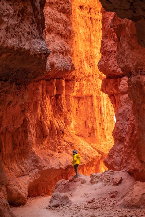 6+ JAW-DROPPING Hikes at BRYCE CANYON NATIONAL PARK