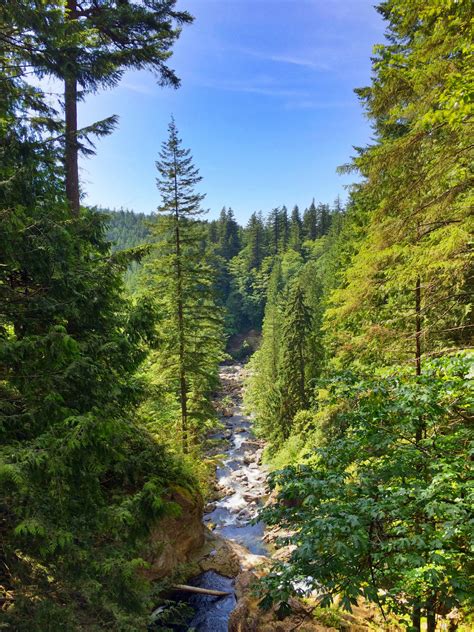 Washington 的图像结果