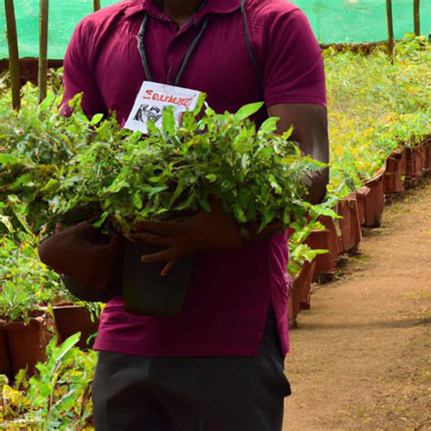 How Much Do Plant Nursery Workers Make? What's the Average Salary ...