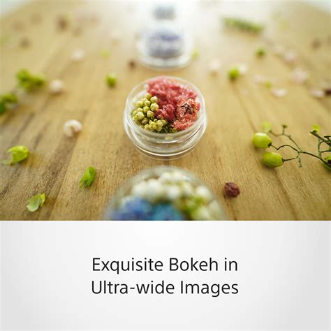 Sony E 11-mm F1.8 (SEL11F18) E-Mount APS-C, Ultra-wide-angle Prime Len