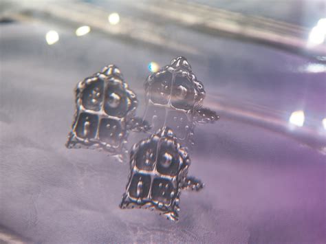 Image result for Winged Silver Magic Trick Tutorial