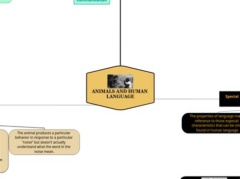 Image result for Language Master Animals