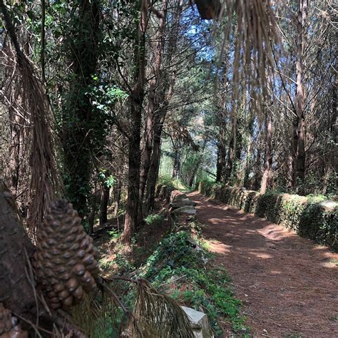 RUTA DE LA CASCADA DE MÉXICA - All You Need to Know BEFORE You Go 2026 ...