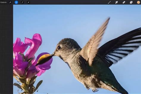 Image result for Edit Tutorial SSO Procreate Deutsch