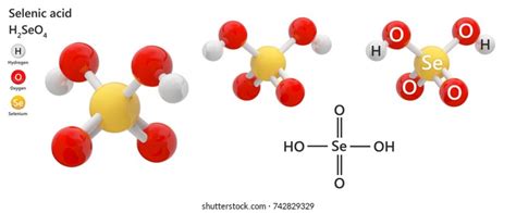 Selenic Acid Formula H2seo4 H2o4se Derivative: ภาพประกอบสต็อก 742829329 ...
