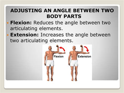Image result for Muscle Movement Types