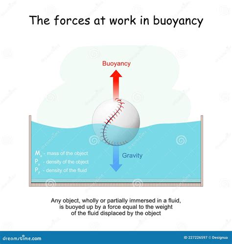 The Forces at Work in Buoyancy. Gravity and Buoyancy Stock Vector - Illustration of physics ...