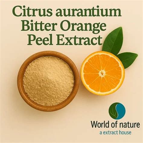 Fruits Extract - SD Amla Powder Trader - Retailer from Pune