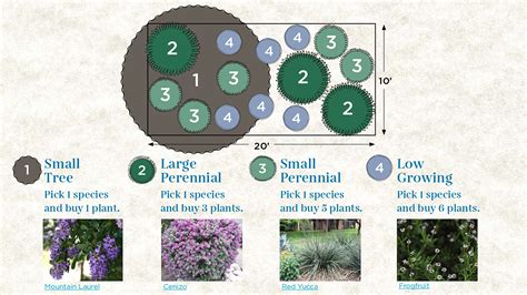 Plant by Numbers: Your blueprint for resilient green - Garden Style San ...