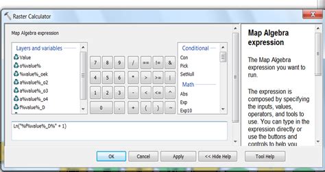 Raster Calculator ArcGIS 的图像结果