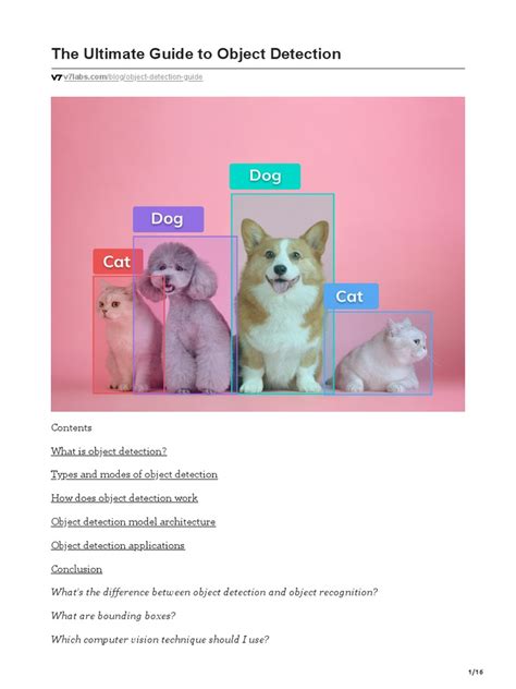 Image result for Object Detection Example Image Raw