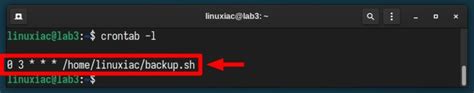 How to Use Linux Cron 的图像结果