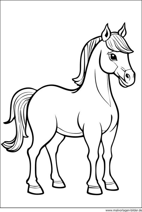 Image result for Windows Plus Halifax NS