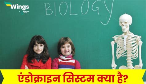 Hindi Archives - Leverage Edu