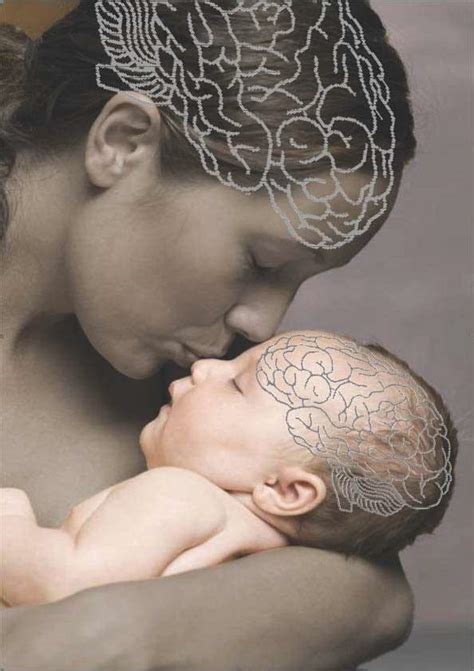 Image result for Neurological Development