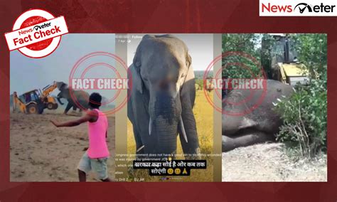 Fact Check: Elephants affected by Kancha Gachibowli land clearing? No ...