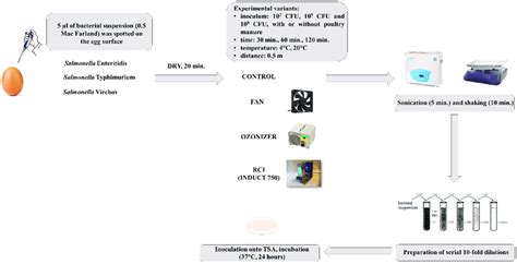 Science Experiment Procedure 的图像结果