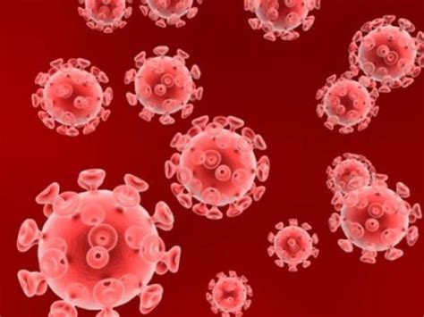 Common Skin Rashes During Summers