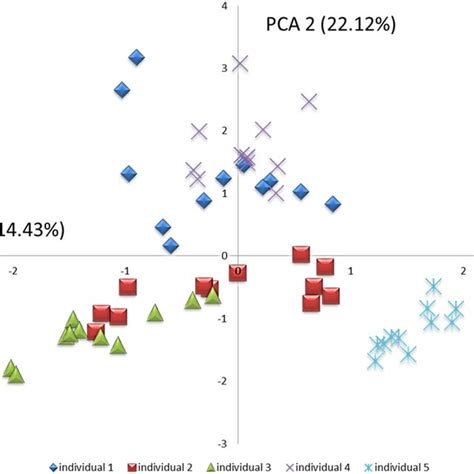 Image result for Principal Component Analysis Example
