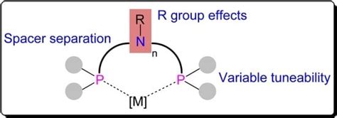 The Backbone of Success of P,N-Hybrid Ligands: Some Recent Developments