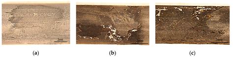 Laboratory-Based Investigation into Stress Corrosion Cracking of Cable ...