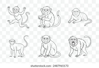 Image result for Www.Line6.com Monkey