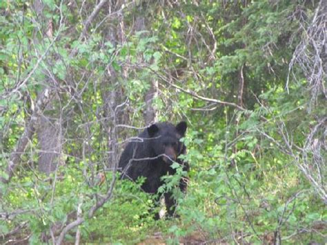 Halibut Cove Adventures - 2022 What to Know Before You Go (with Photos ...