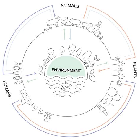 Image result for One Health CDC