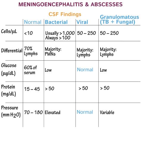Clinical Pathology Glossary: Meningitis Essentials | ditki medical & biological sciences