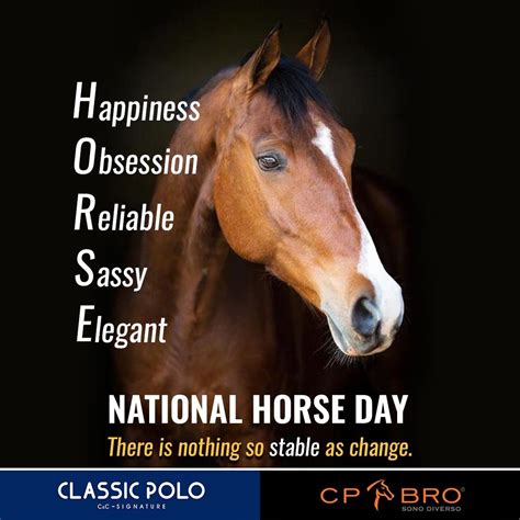 Celebrate National Horse Day with Us
