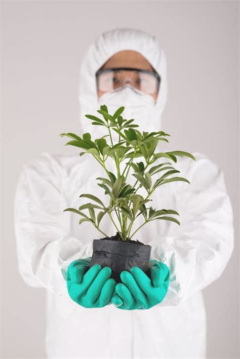 Plant Scientist 的图像结果