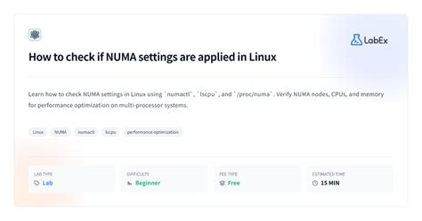 Image result for Linux Numa Performance