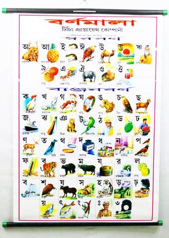 Charts & Posters – IntelKids