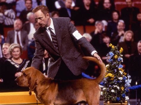 30 Best Animal Movies and Pet Movies To Watch As a Family