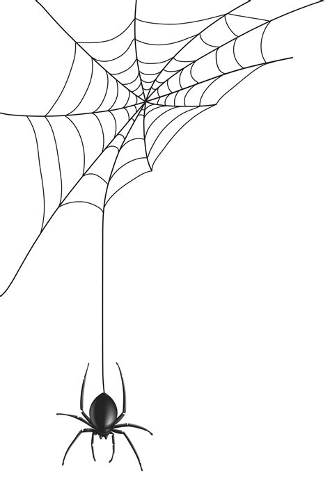 spiderweb png 10 free Cliparts | Download images on Clipground 2026