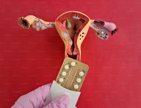 Image result for Mutilation Examples